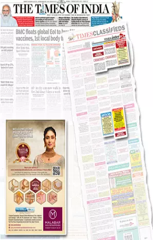 Statesman tearsheet proof